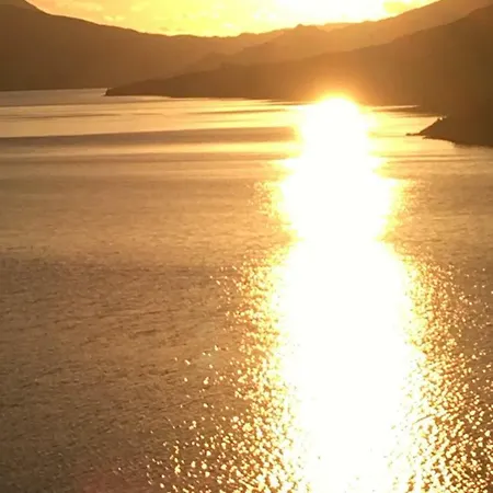 Ashleagh Cove *